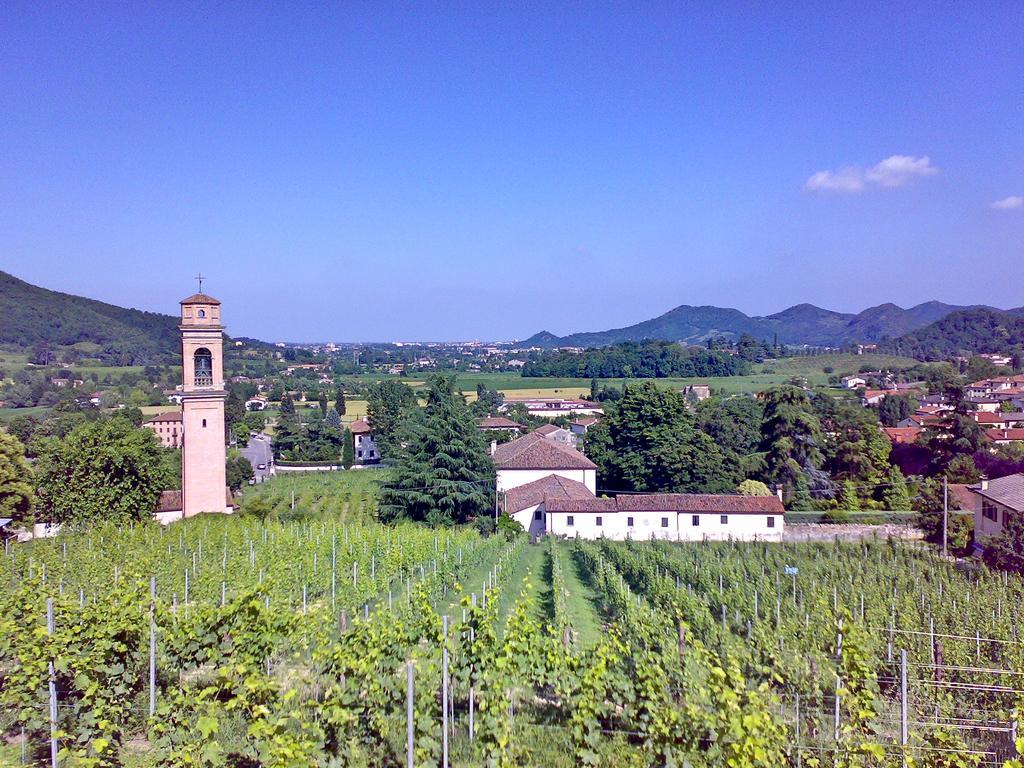 Villa Pollini Torreglia 外观 照片
